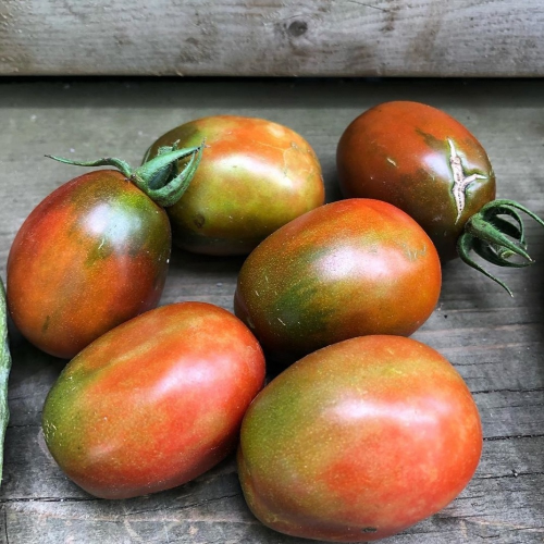 Sahajaseeds Tomato Black Plum Seeds