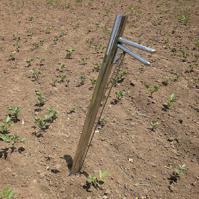 Hectare Stainless-steel Vegetables, Flowers and Bud Transplanter-Farm Tools and Machineries