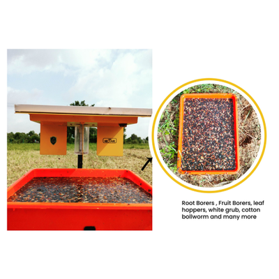 Hectare Solar Insect Trap-Solar Accessories