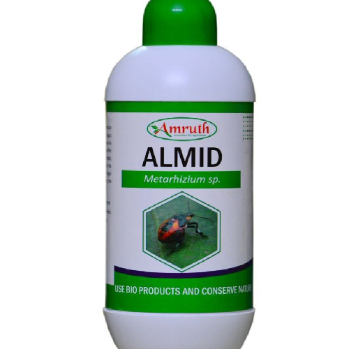 Amruth Organic Almid Metarhizium Sp.