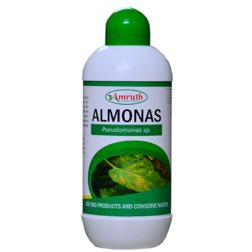 Amruth Organic Almonos Pseudomonas Sp.