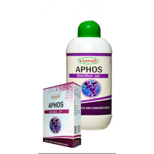 Amruth Organic Aphos Bacillus Sp.