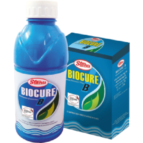 Tstanes Biocure Liquid B (Biostimulant)