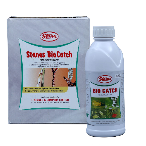 Tstanes Biocatch (Verticillium lecanii 1.5% WP and 1.5% LF)