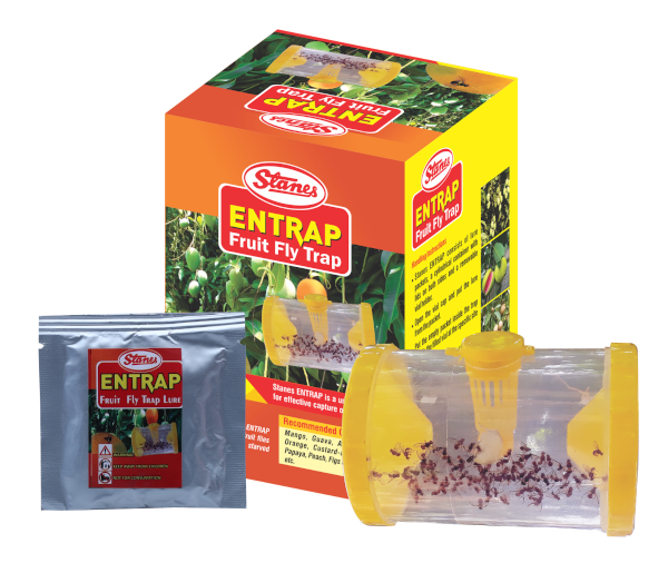 Tstanes Entrap (Fruit Fly trap)