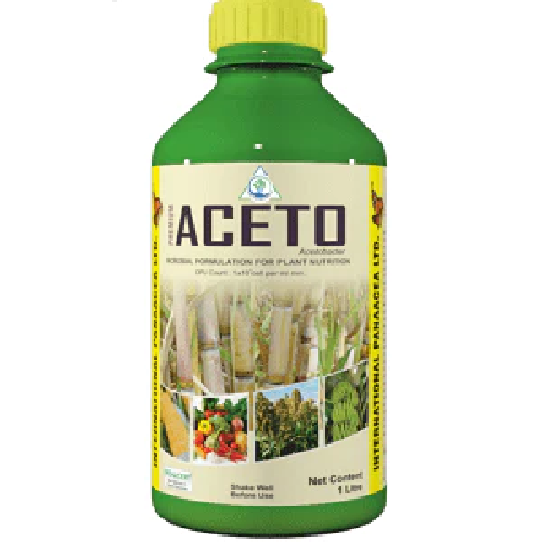 IPL Aceto Premium (Acetobacter)